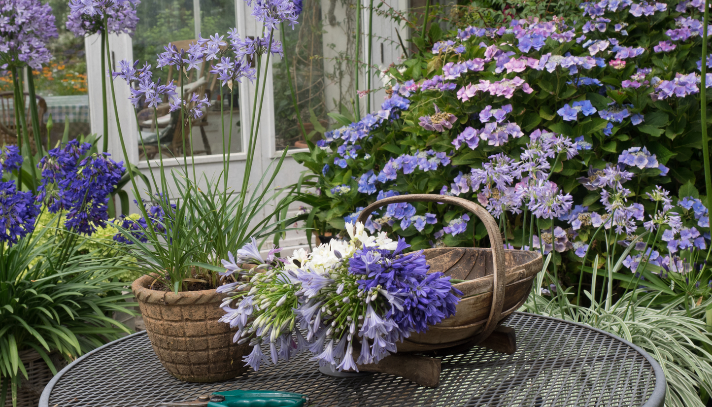 Fairweather's Gift Card