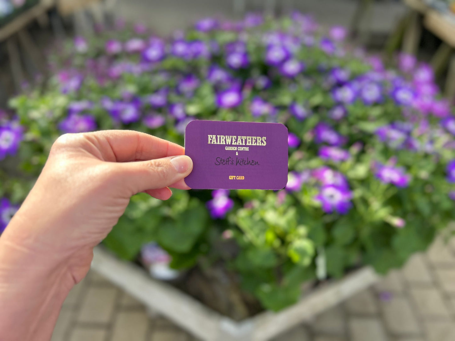 Fairweather's Gift Card